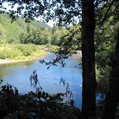 Lower Nehalem River