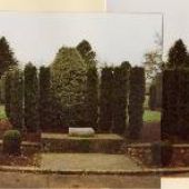 Salem Mental Hospital Potters Field