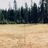 Sheep Springs Horse Ranch