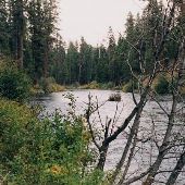 Pioneer Ford Campground