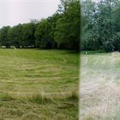 Kelly Elk Farm - Smiley's Hole