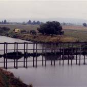 Sauvie Island Road Canal