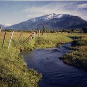 Wallowa County Creeks