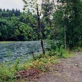 Lewis River Fish Hatchery