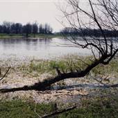 Sauvie Island - Round Lake