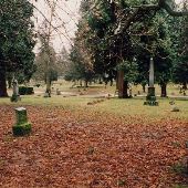 Lone Fir Cemetery