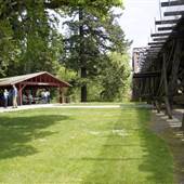 Tualatin Community Park