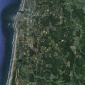 Bandon cranberry farms