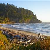Cape Meares North of Radar Road