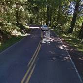 Washington Park Roads - Portland