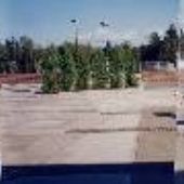 Wilsonville high school