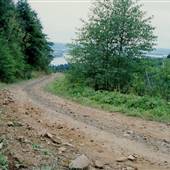 Abe Creek/Nassa Point - Washington State