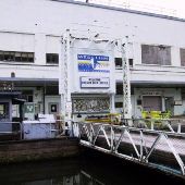 Willamette Falls Paper