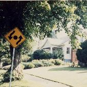 NE 37th Neighborhood