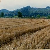 Mouse Lake Hunting Club