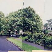 SE 29th and Carlton Streets