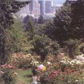 Washington Park - Rose Garden