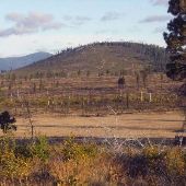 Warm Springs fire