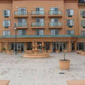 north harbor marriotts