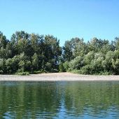 Willamette River - Candiani Bar