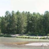 Sandy River off of 257th