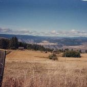 Pendleton/Enterprise Wheatfields and Crops