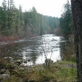 Sandy River - Dodge Park