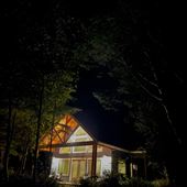 Where Forest Meets the Sea