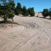 Horsefall Dunes and Beach