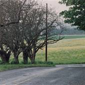 Jacobson Road at Croeni Road - Hillsboro