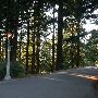 Mt. Tabor Park