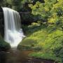 Silver Falls State Park