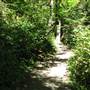 Silver Falls State Park