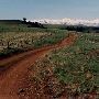 Wallowa County Prairies