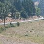 Buckhorn Road