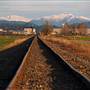 Stayton Rain Tracks