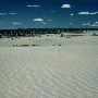 Christmas Valley Sand Dunes