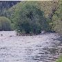 McKenzie River