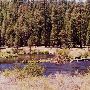 Metolius River