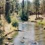 Metolius River
