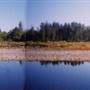 Molalla River