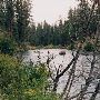 Pioneer Ford Campground