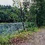 Lewis River Fish Hatchery