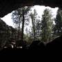 Hidden Forest Cave