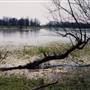 Sauvie Island - Round Lake
