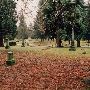 Lone Fir Cemetery