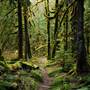 Old Salmon River Trail