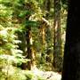 Old Salmon River Trail