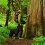 Old Salmon River Trail
