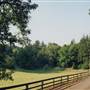 Orville Road - Outside Salem